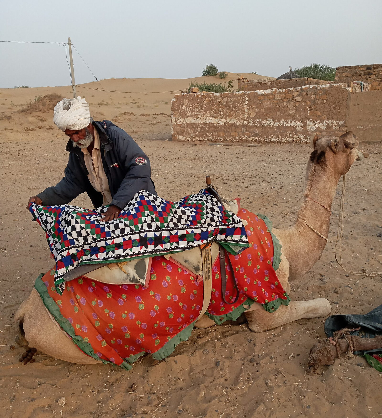 A camel handler fitting a decorated saddle on the dunes near Jaisalmer