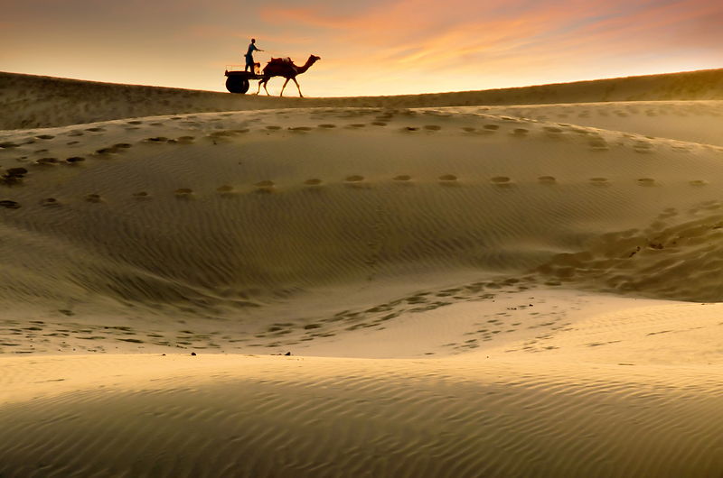 Camel rider crossing the Sam dunes