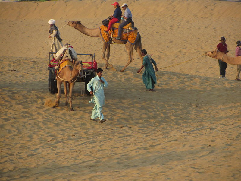 Camel rides setting out across the dunes