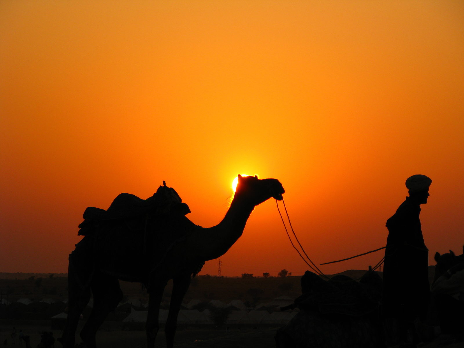 Camel and handler silhouetted against the setting sun