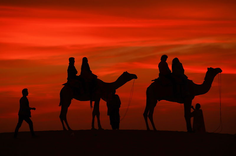 Camel riders silhouetted against a red sunset on the Sam dunes