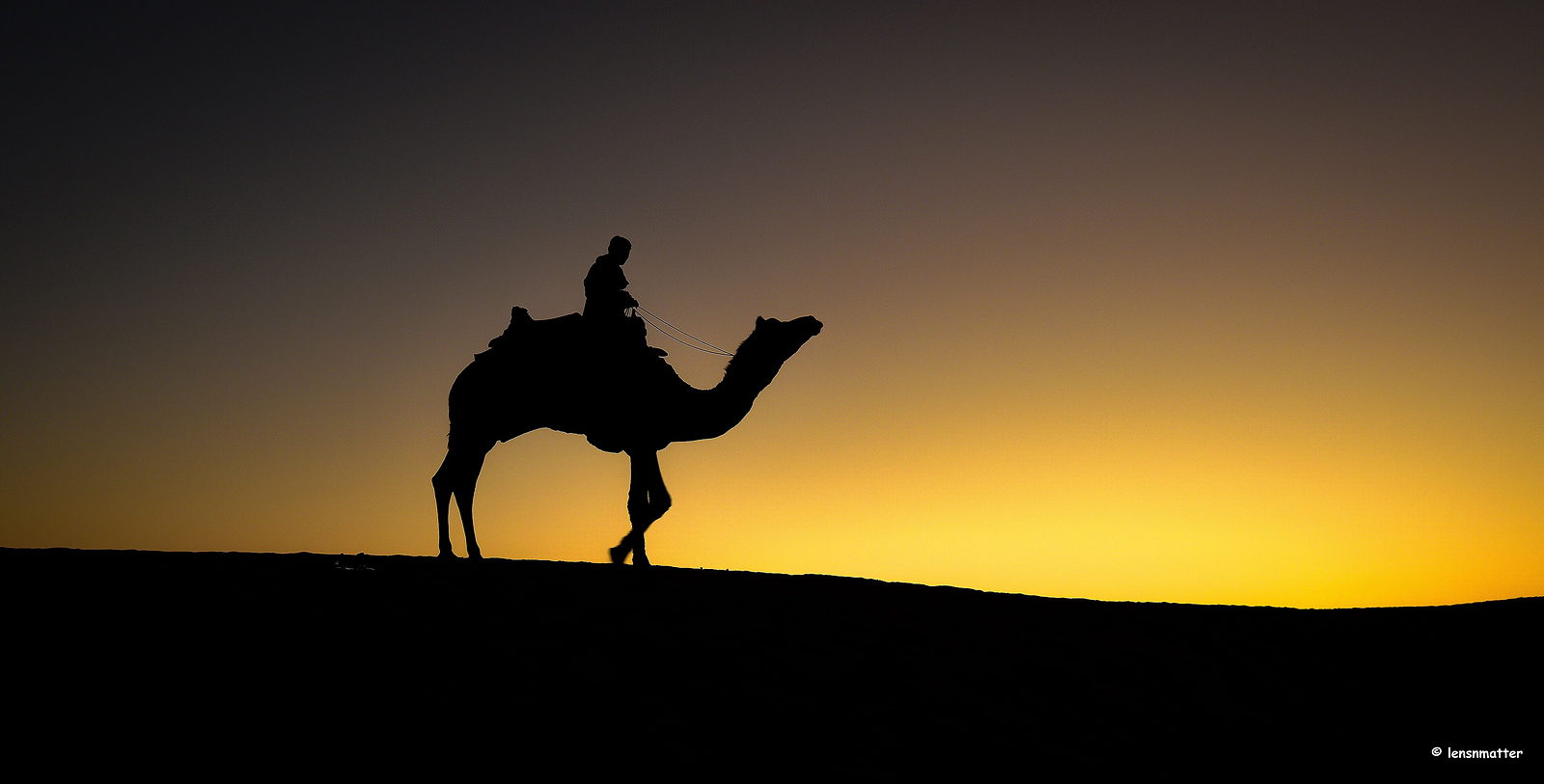 Lone camel rider on a dune ridge at dusk